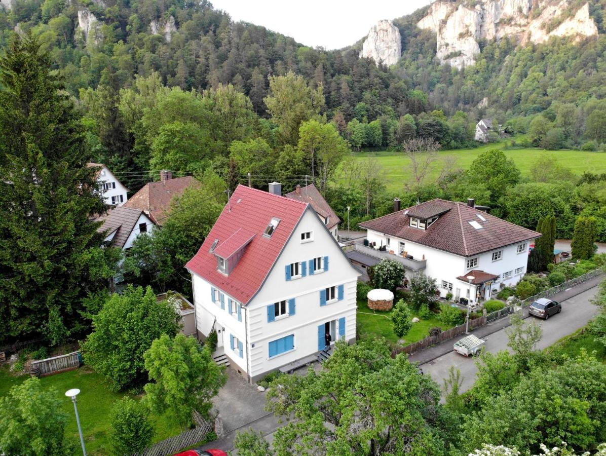 Zwergdackeladlerhirsch Apartment Beuron Luaran gambar